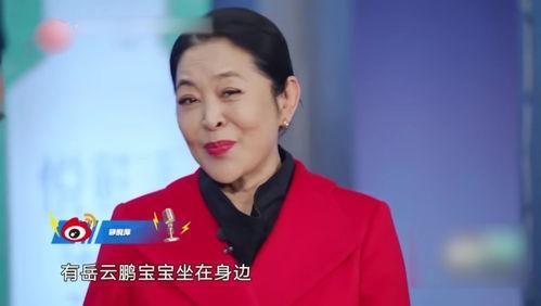 鲁豫爆料袁隆平视频,一段珍贵视频背后的故事